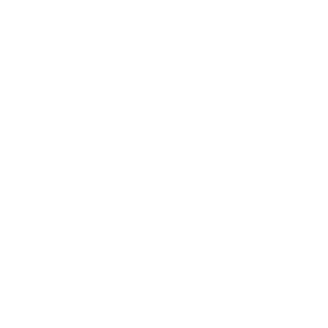 Prism Consulting